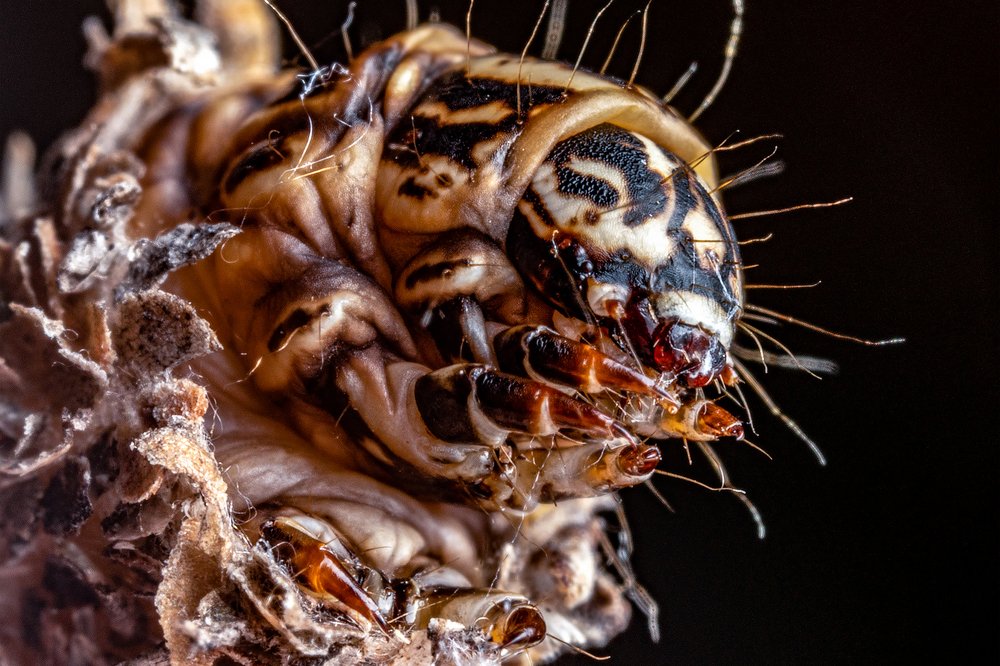 Фотография автора Виктор Максимов