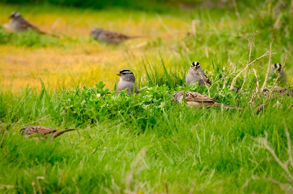 Photograph by Le pennetier