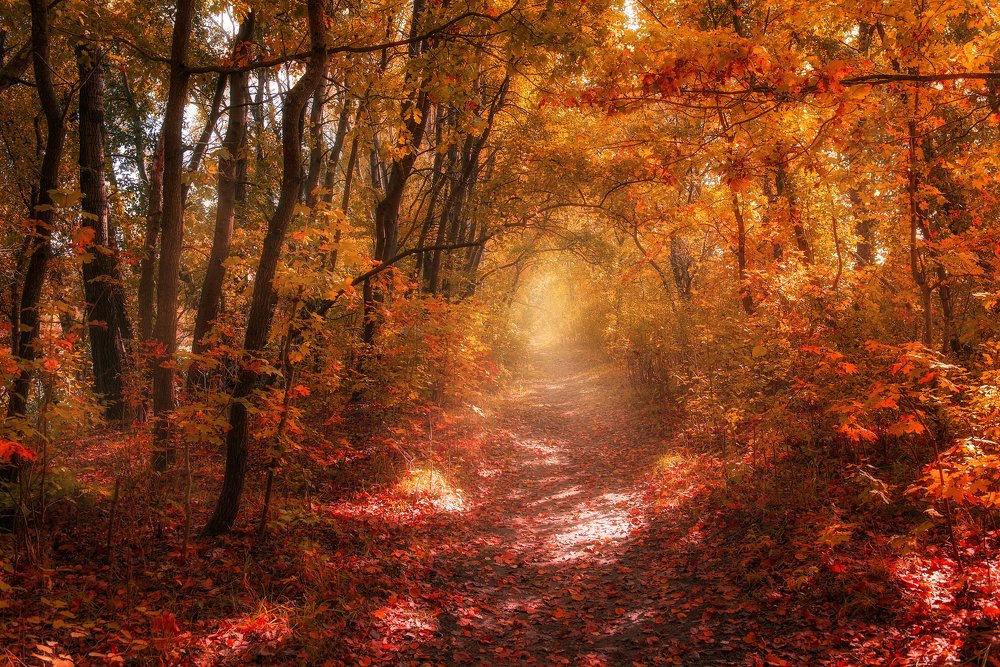 Photograph by Руденко Ирина