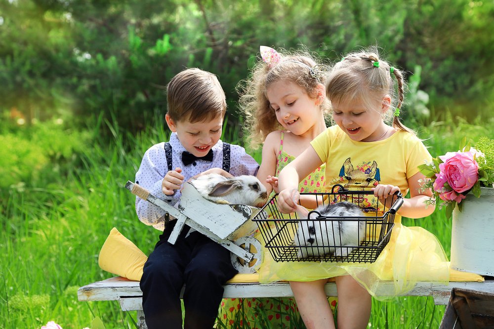 Доброе летнее утро