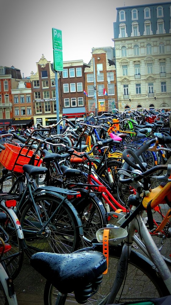 Фотография автора Камиль Хайрутдинов