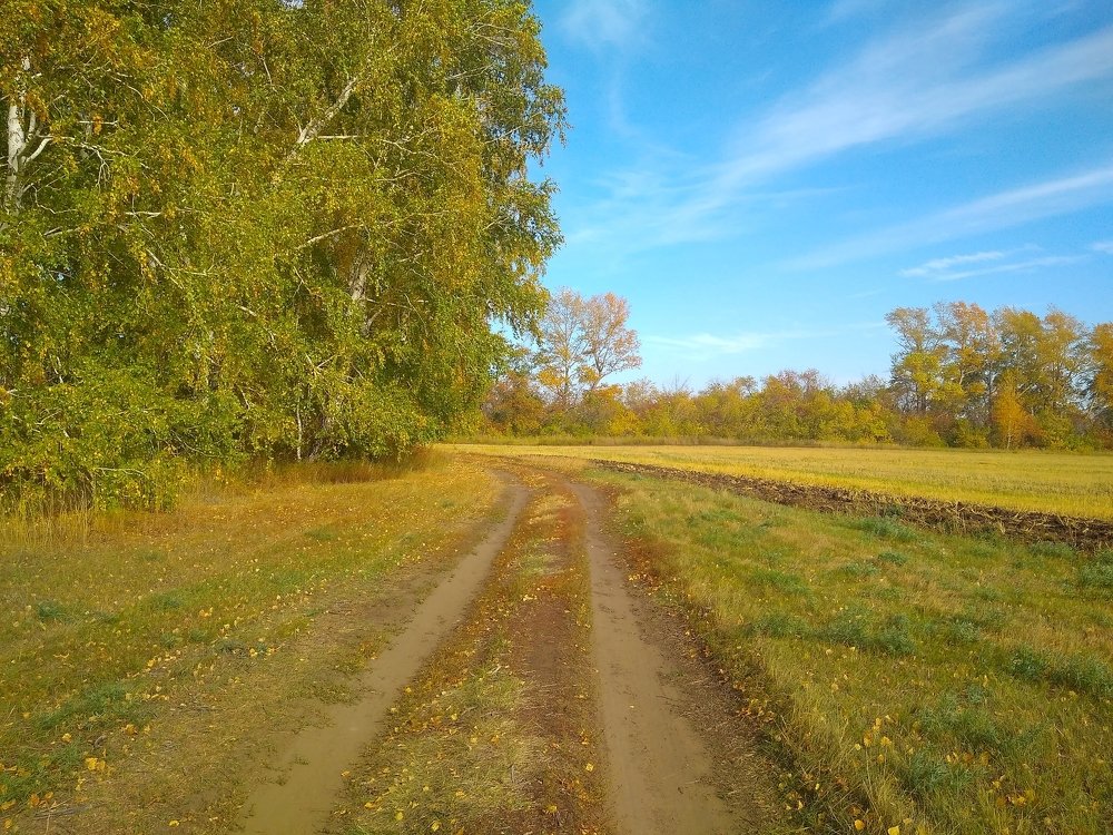 Photograph by Людмила Фризен