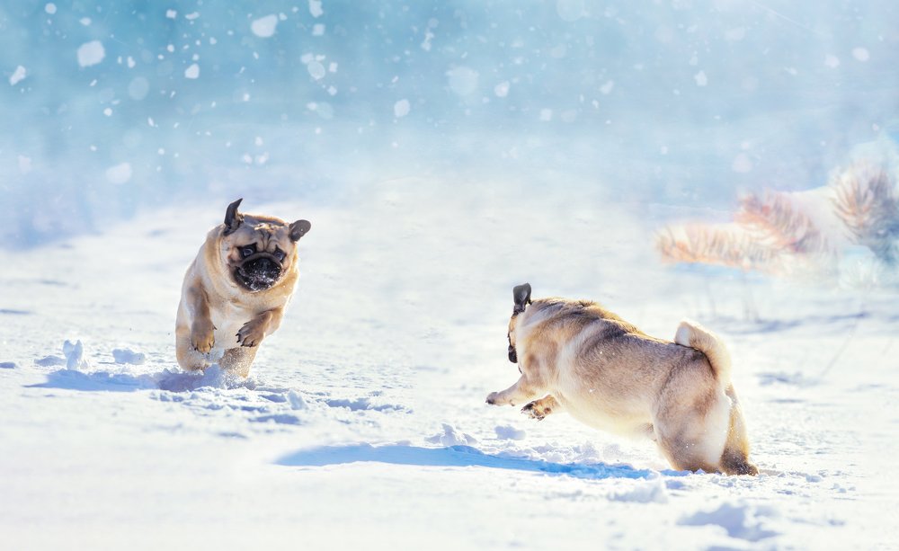 Photograph by Vitalii Shcherbyna