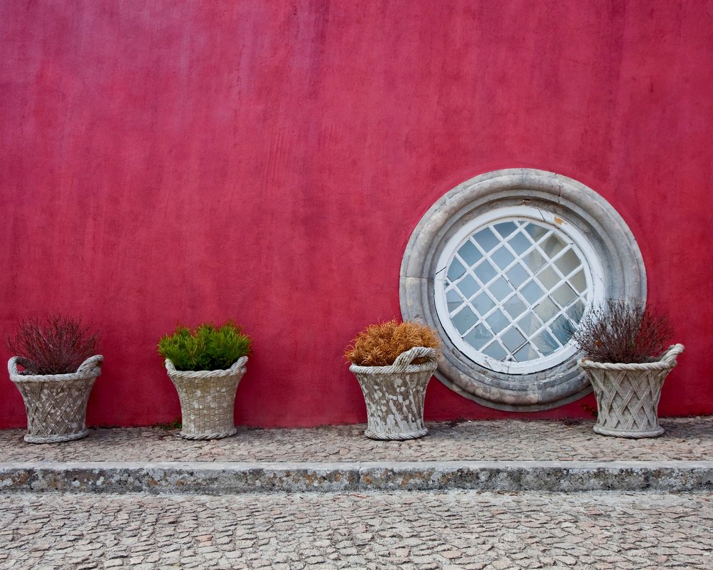 Photograph by Лилия Павлова