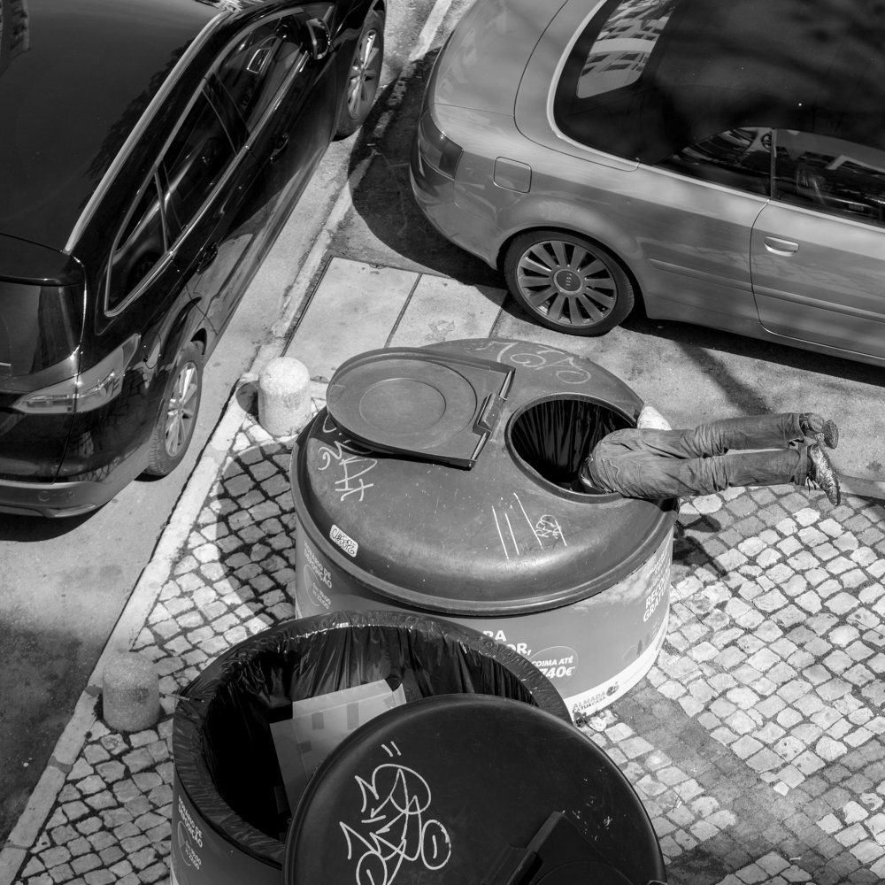 Photograph by Carlos Alberto Sequeira