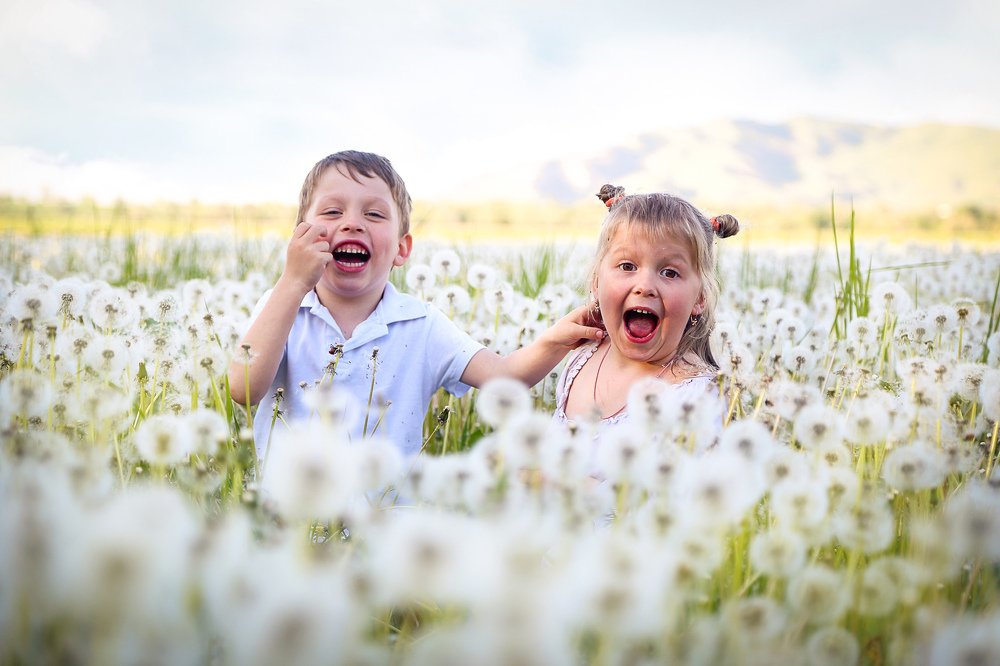 В волшебном поле ☀️