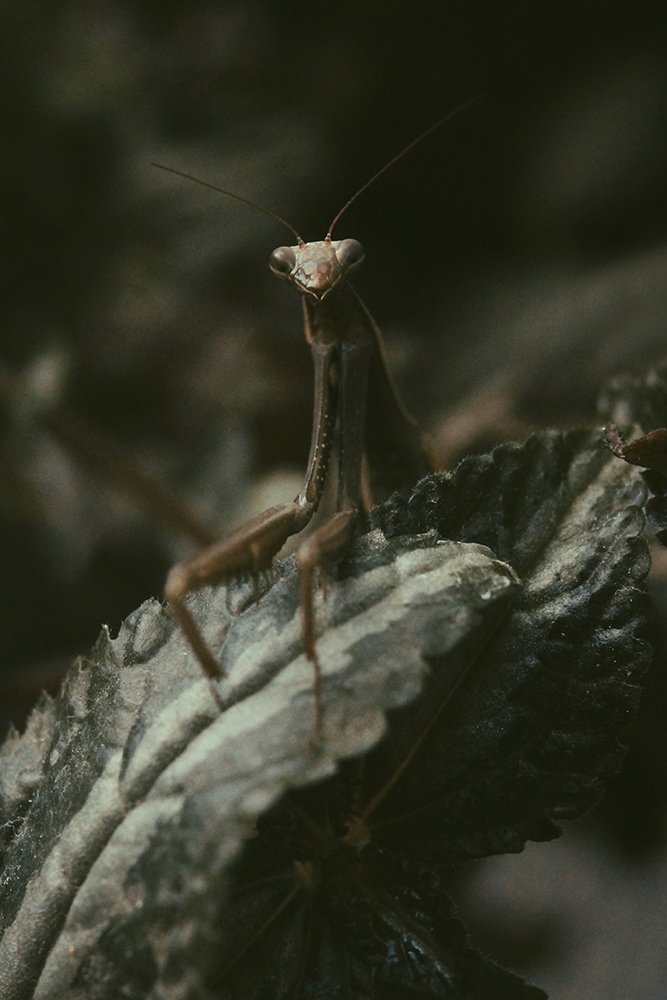 Photograph by Фролова Евгения