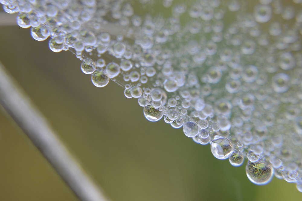 Photograph by Татьяна Калугина