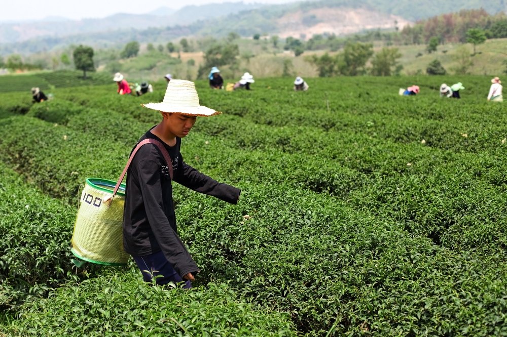 Photograph by Лилия Павлова