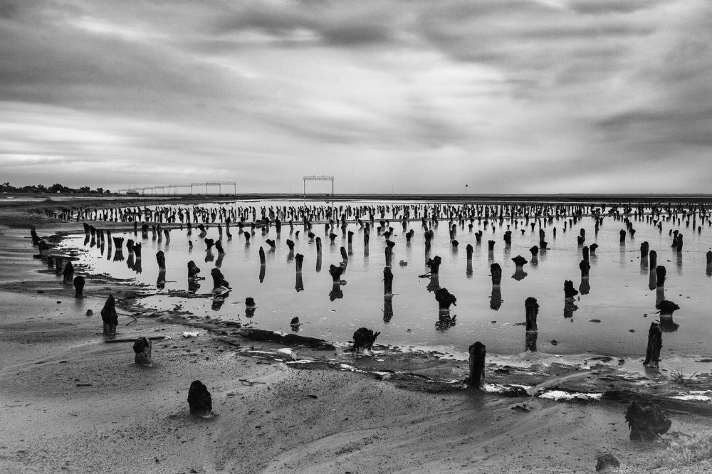 Photograph by Александр Пиленгас