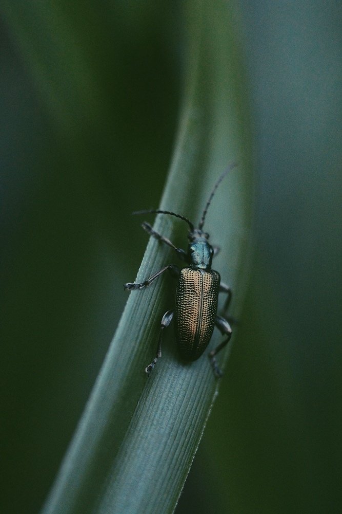 Photograph by Фролова Евгения