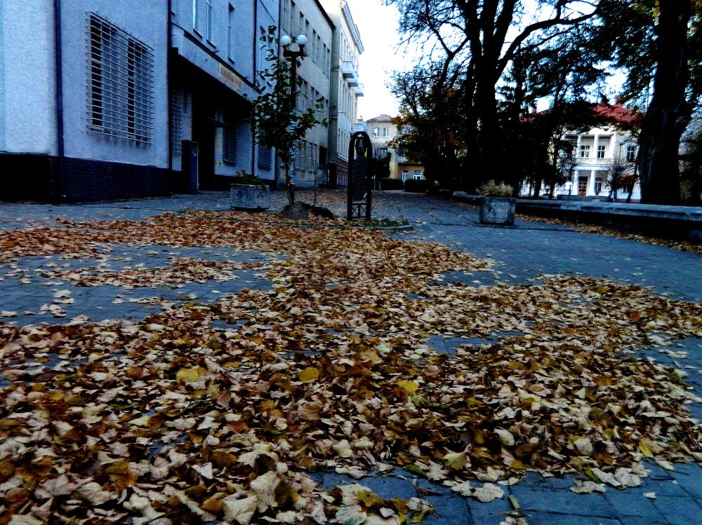 Холодная осень