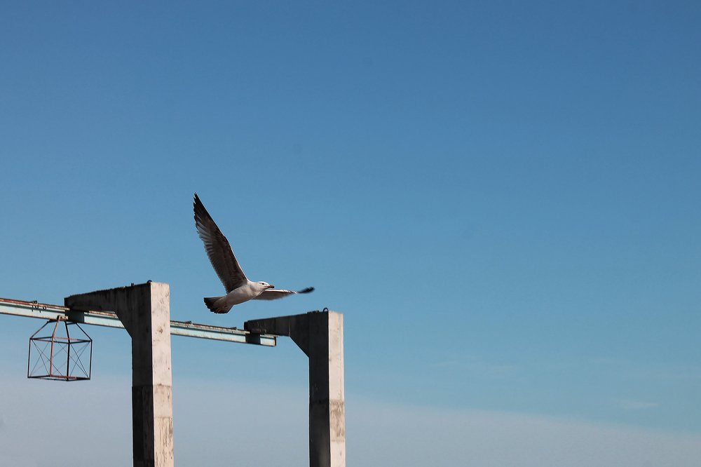 Photograph by Vika Putrova