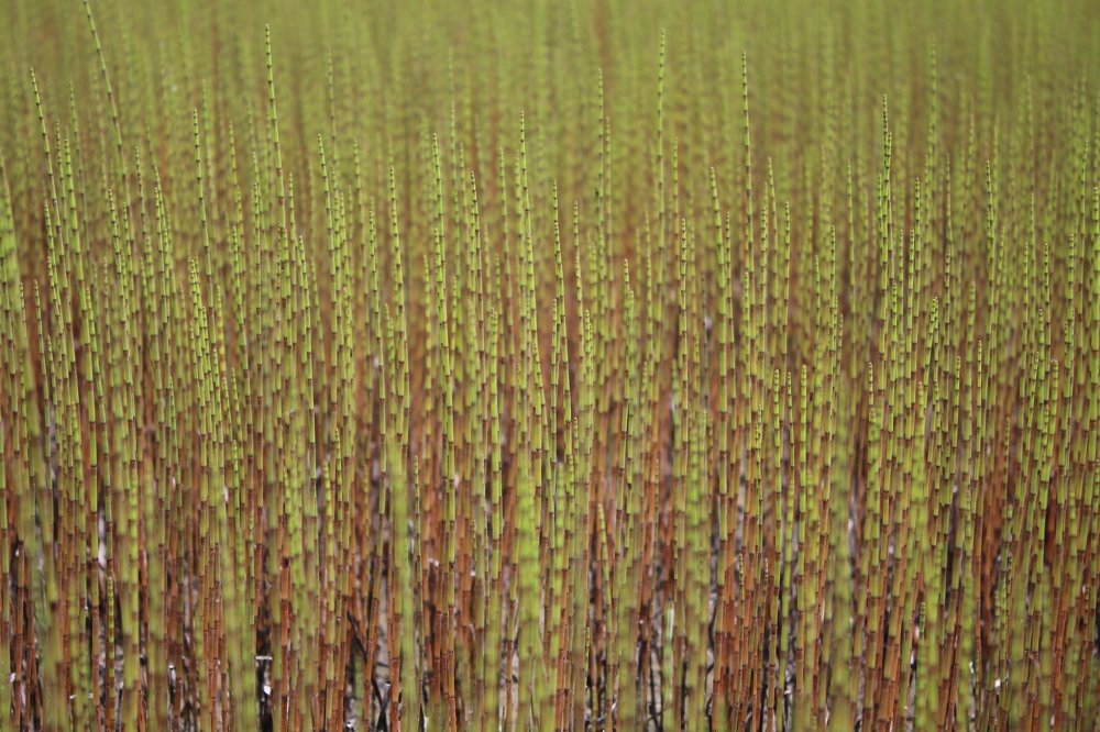 Photograph by Белоусов Александр