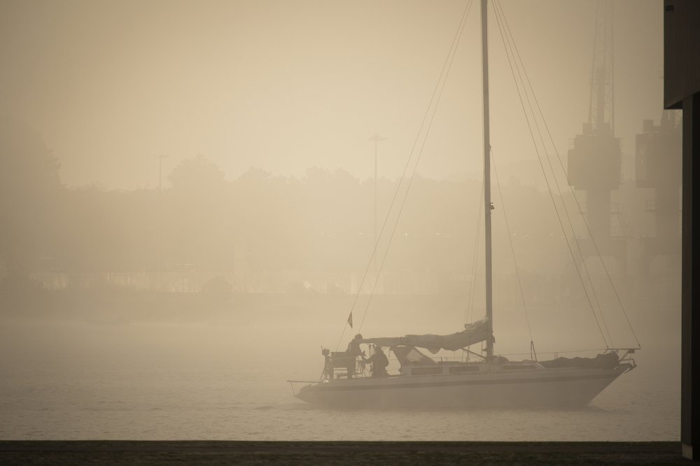 Photograph by Susana Fernandes