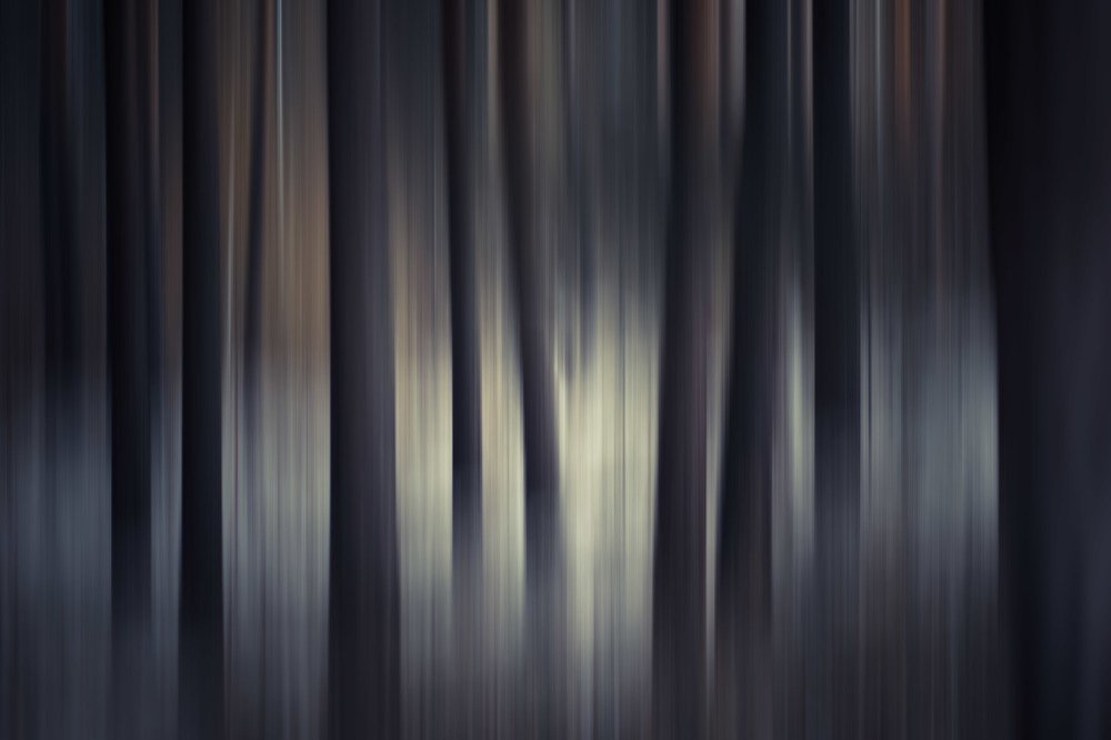 Photograph by Evgeniya Gribova