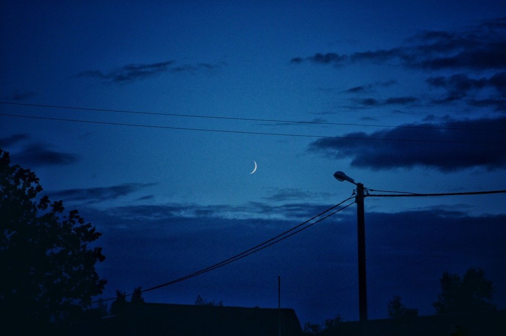 Photograph by Ирина Тарасенко