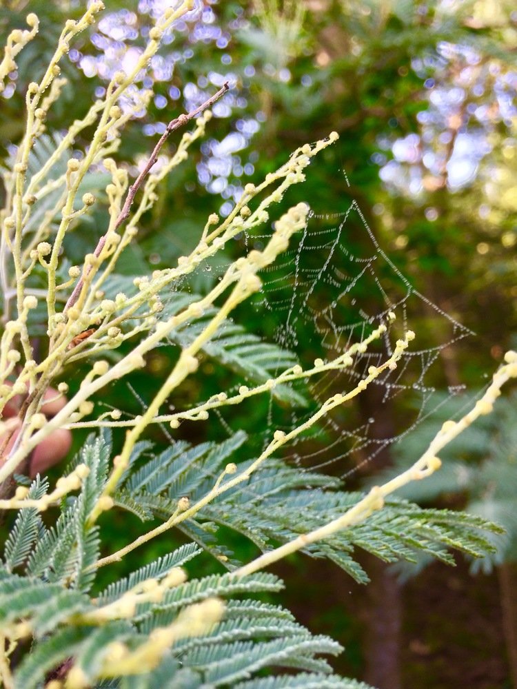 Photograph by Димитри Квирквелиа