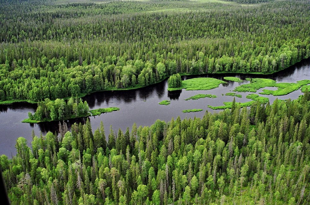 Карелия.Водлозерский национальный парк