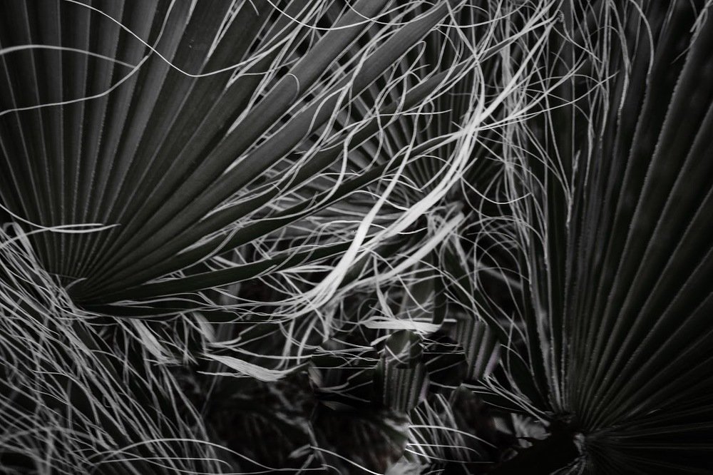 Photograph by Газетдинов Айрат