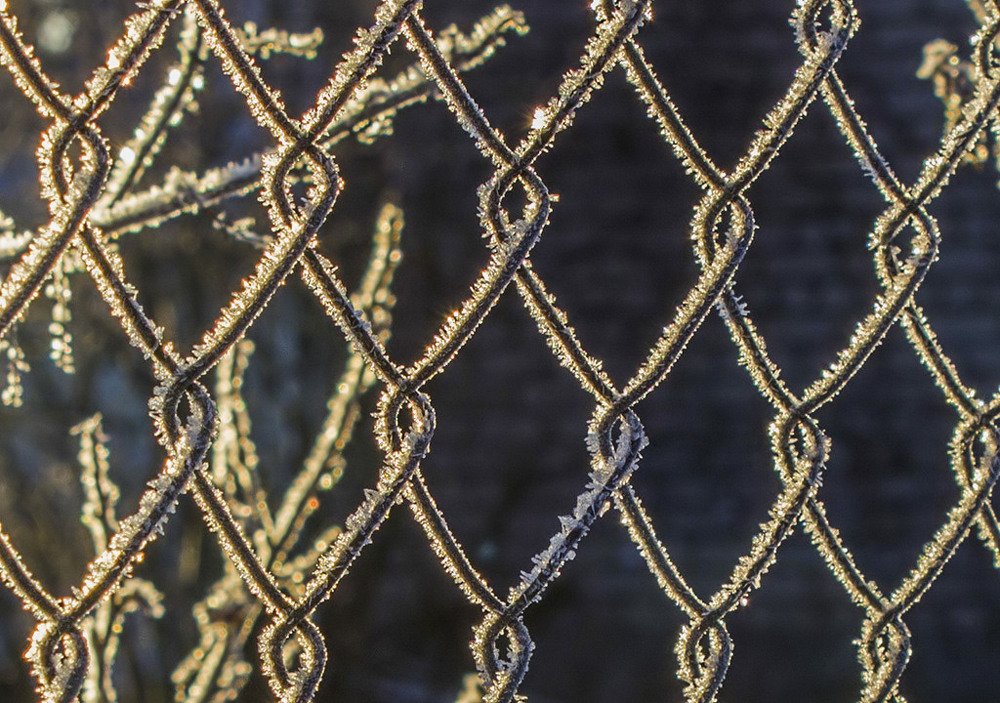 Photograph by Елена Белинская