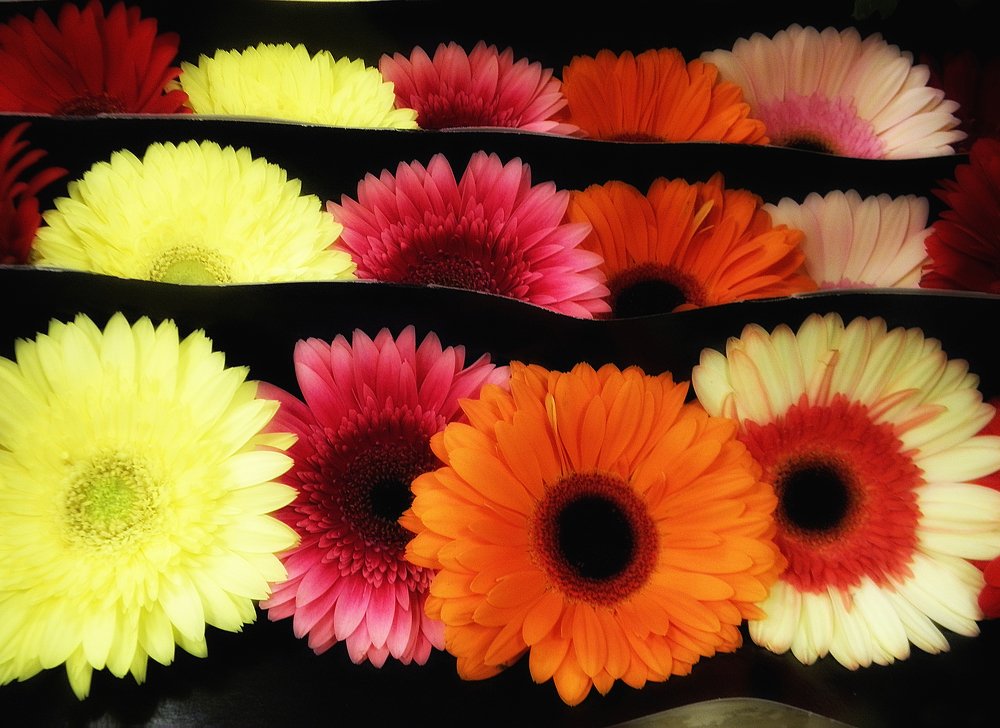 Photograph by Светлана Ковалёнок