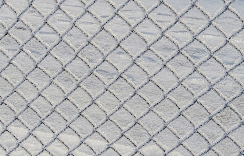 Photograph by Елена Белинская