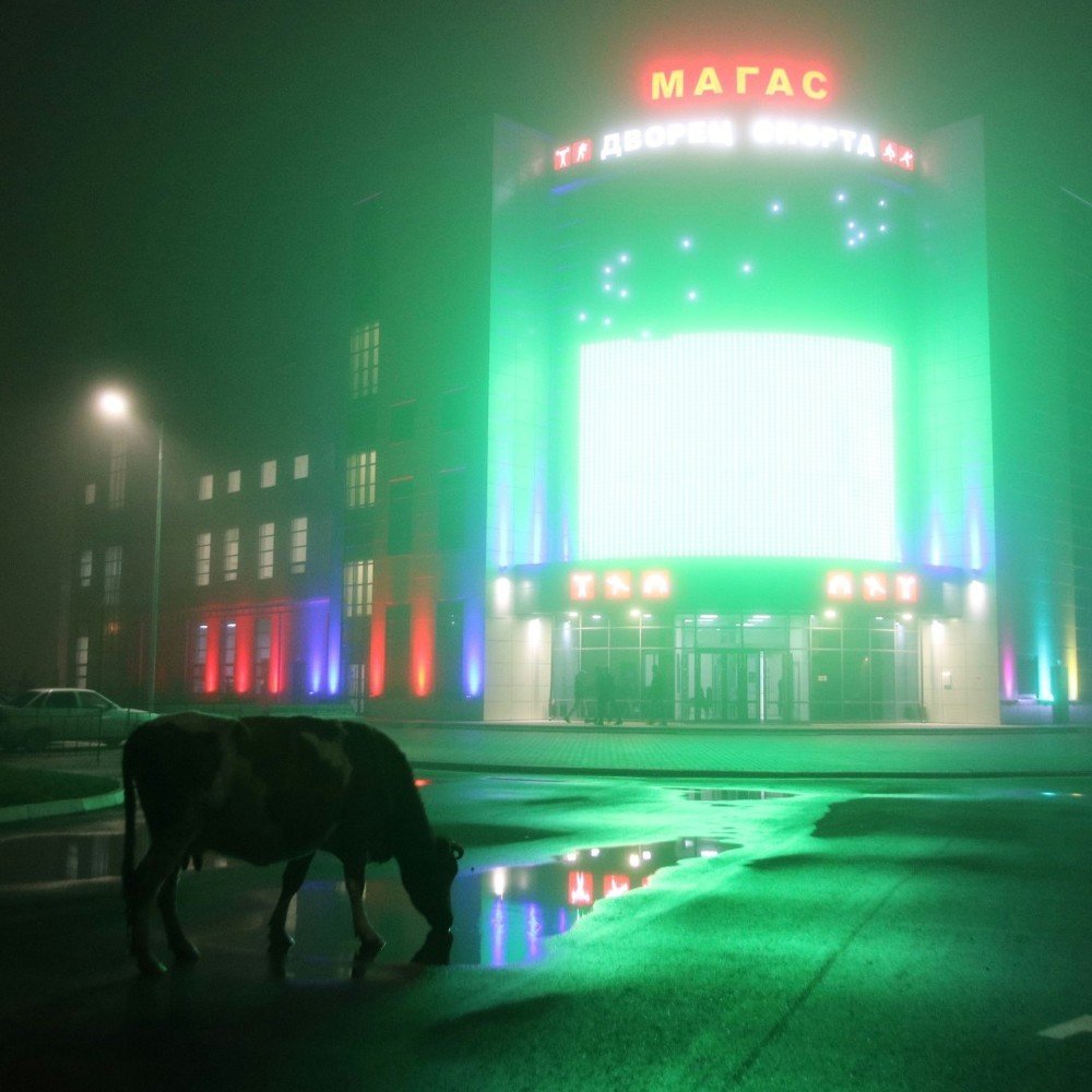 Photograph by Алексей Поляков