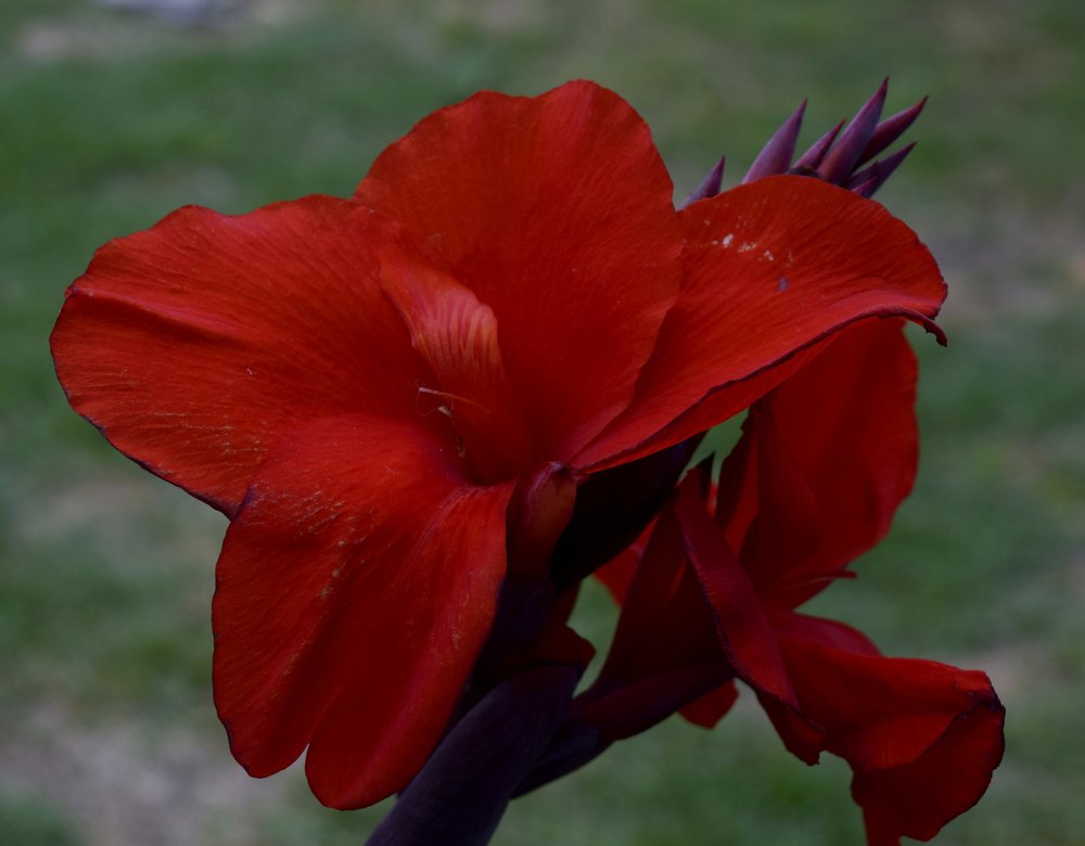 Photograph by Beatriz Games