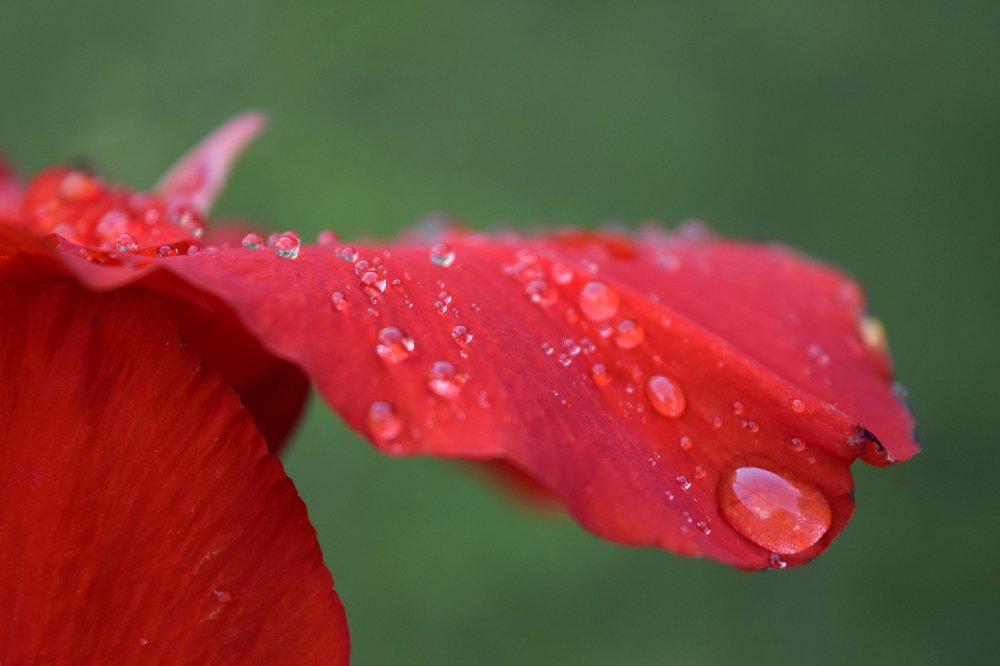 Photograph by Beatriz Games