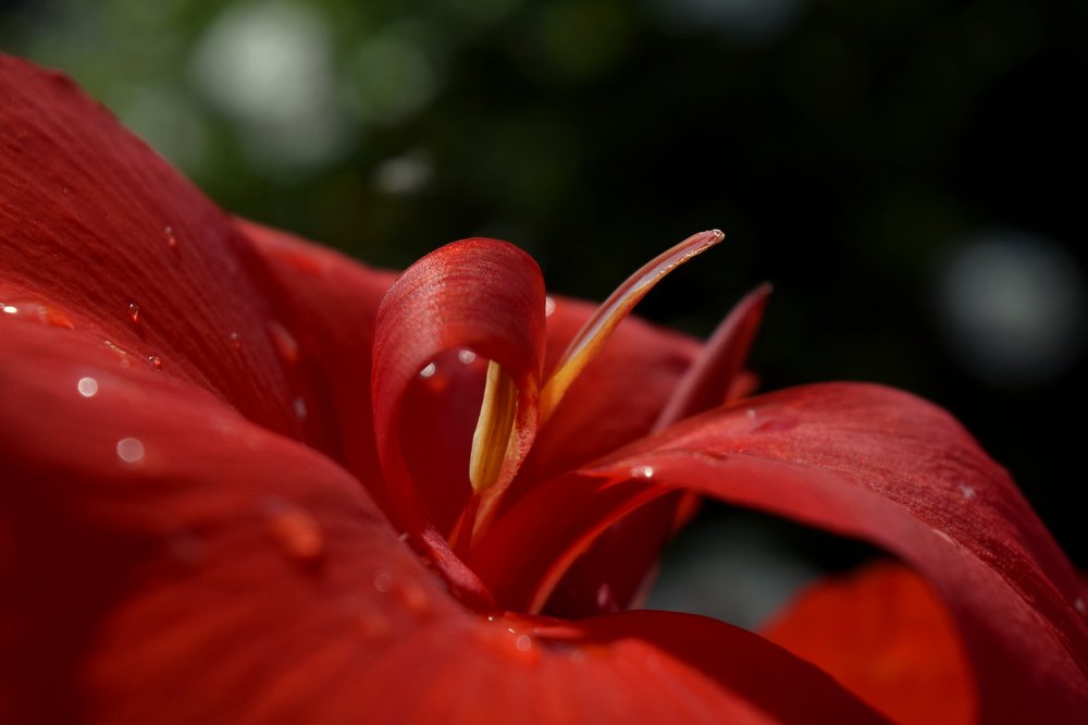 Photograph by Beatriz Games