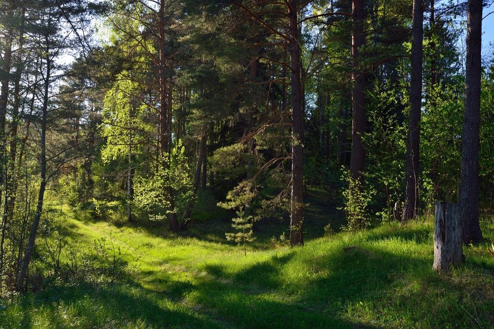 Photograph by Алексей Матвеев