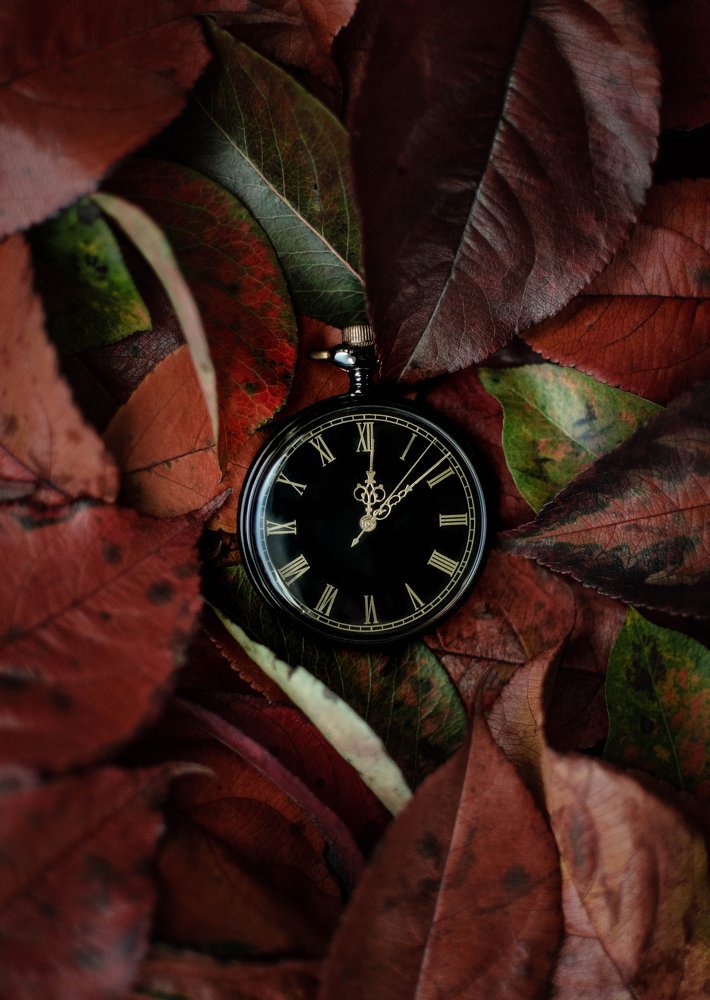 Photograph by Чернякова Анна