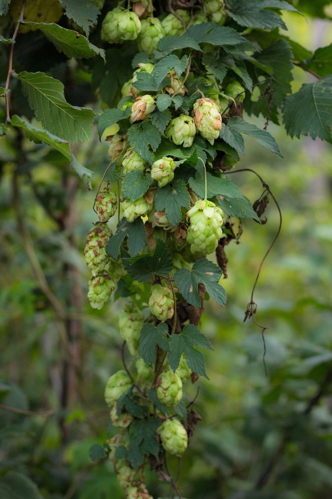 Photograph by Иван Балаболкин