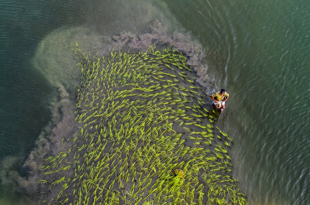 Photograph by Ayman Nakib