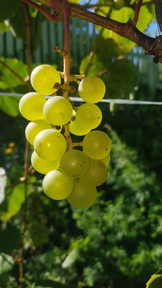 Photograph by Наталия