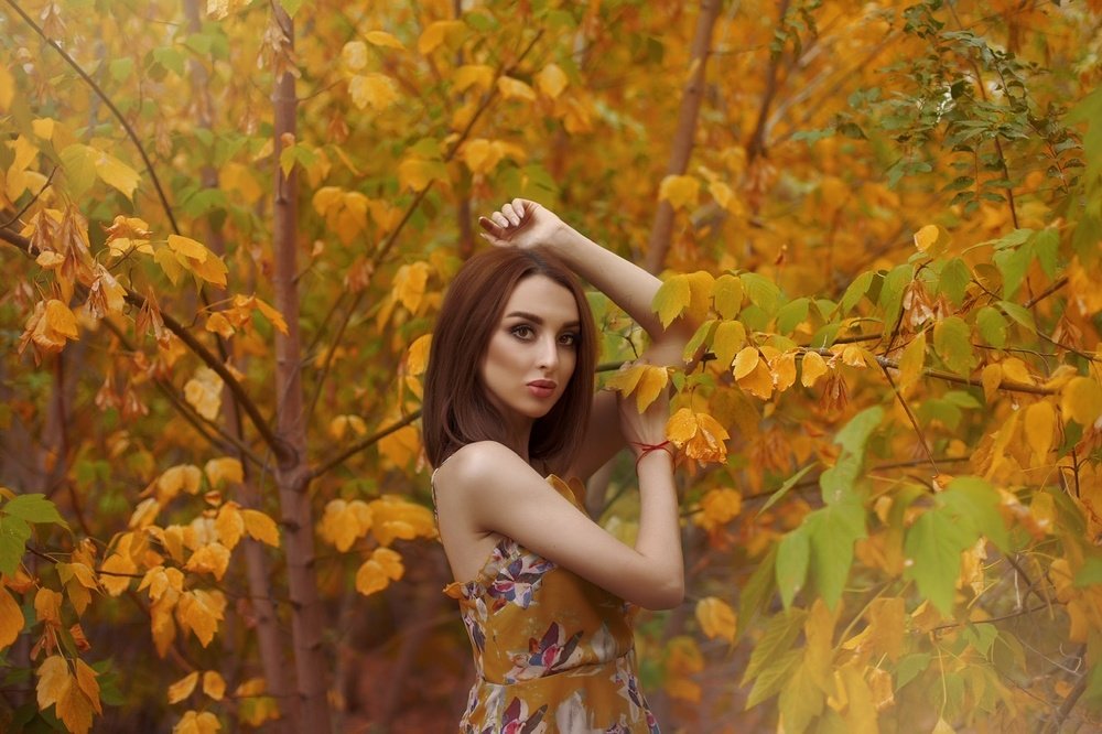 Краски осени