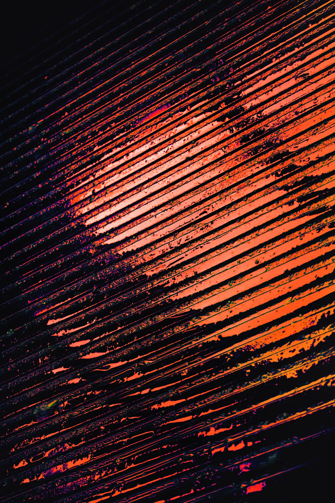 Photograph by David Nikiforov