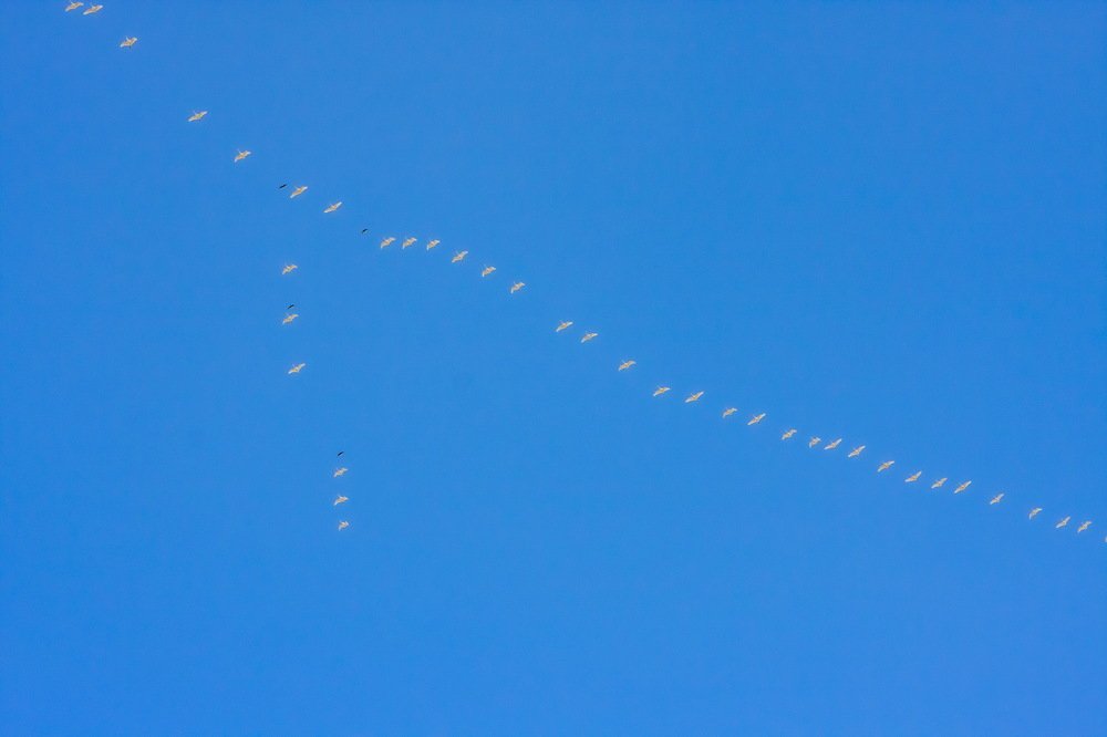 Photograph by петр чиков