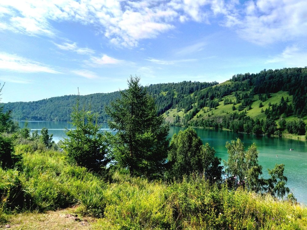Photo #3792225
