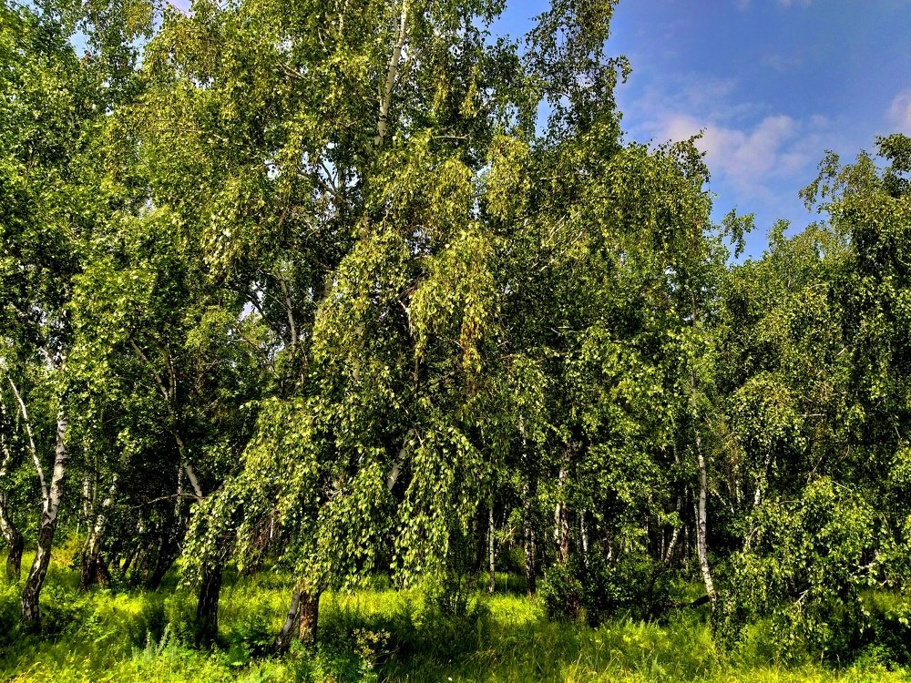 Photograph by Марьясова Анна