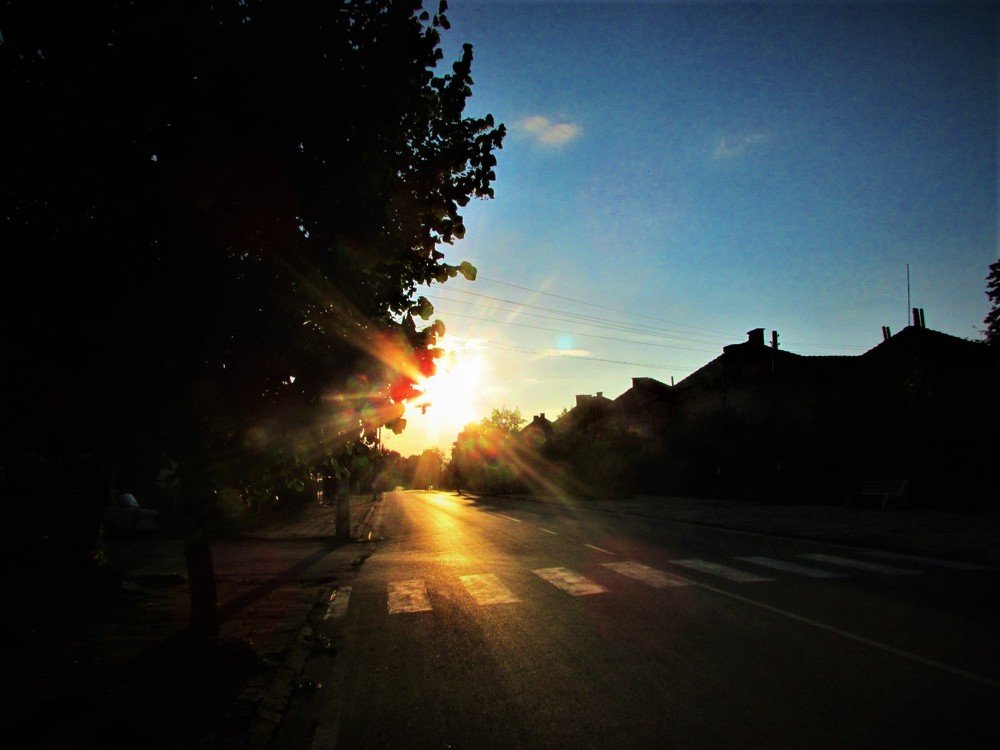 Photograph by Марина Цекова