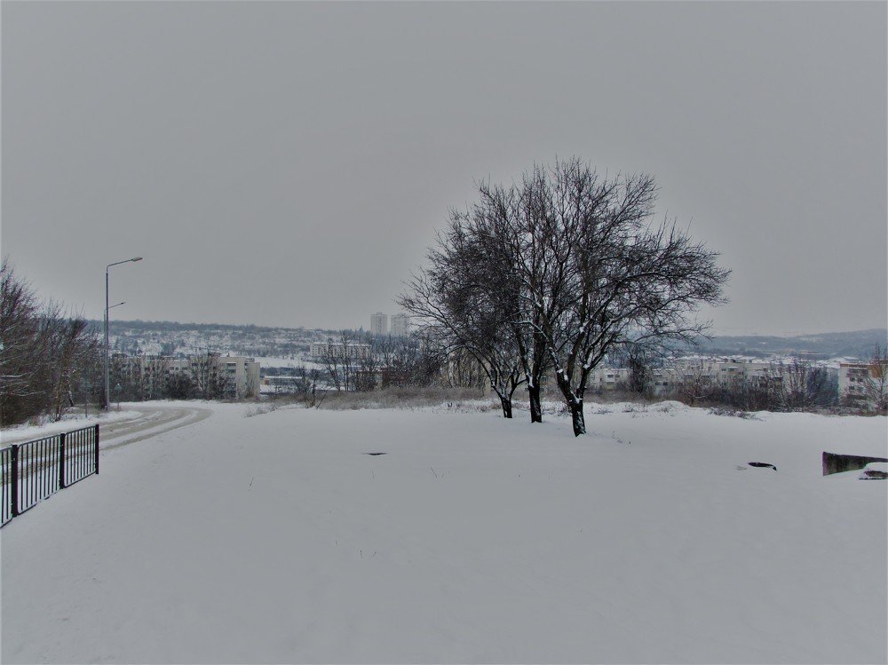 Photograph by Марина Цекова