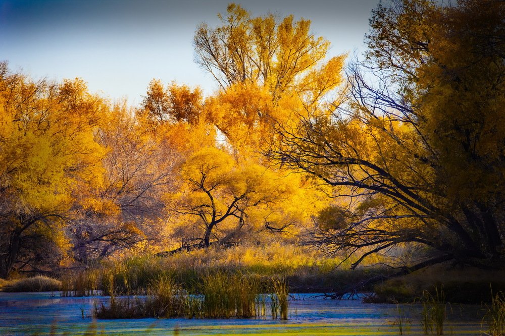 Photograph by петр чиков