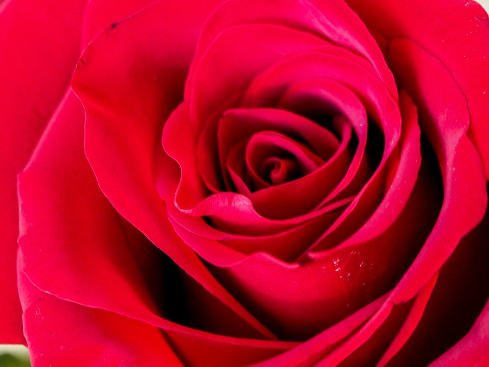 Photograph by Олег Черных