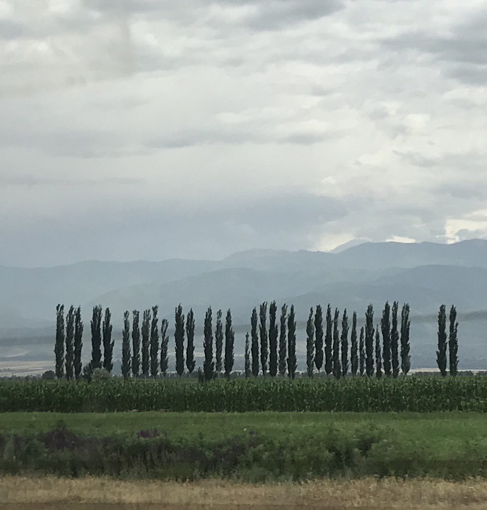 Photograph by Анар Амирова