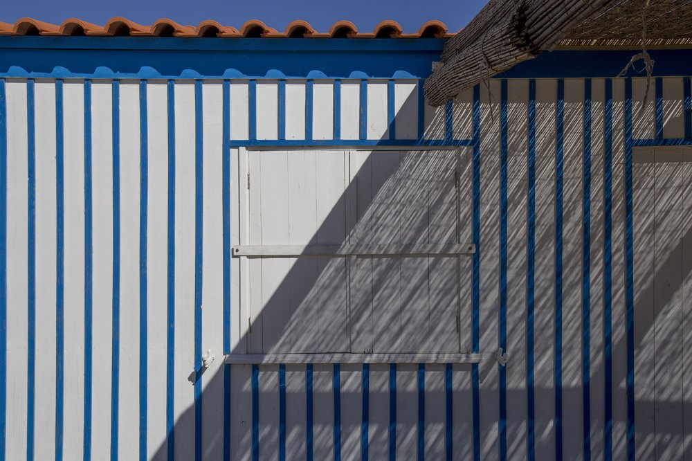 Photograph by Carlos Alberto Sequeira