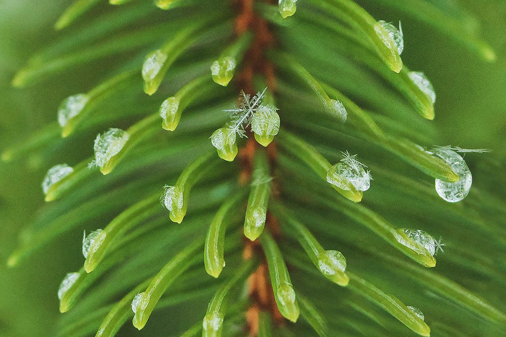 Photograph by Фролова Евгения