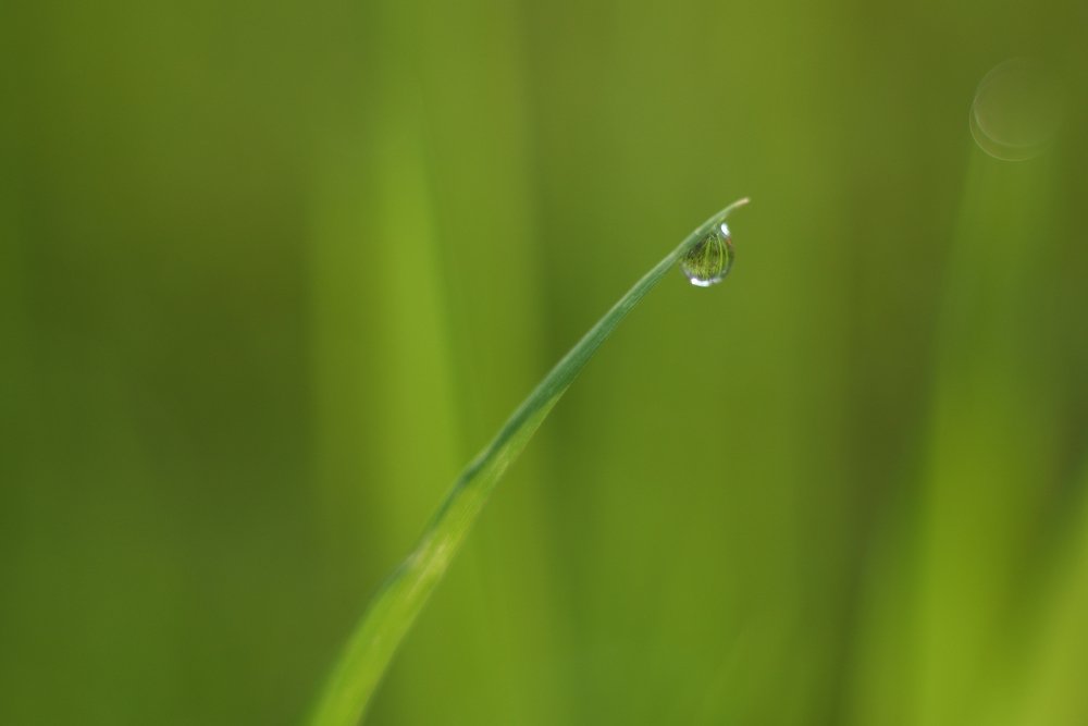 Photograph by anirudha