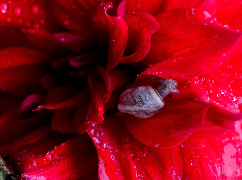Photograph by Елена Безгинова